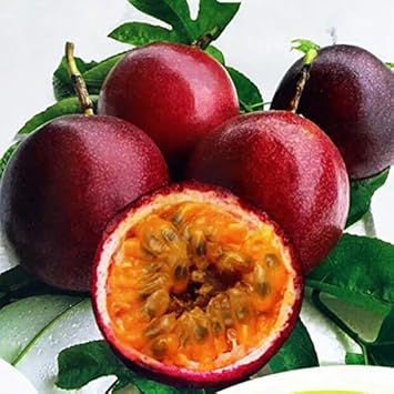 Passiflora Edulis Passion Fruit Seeds for Planting Red Mix for Tropical Gardens and Home Gardens